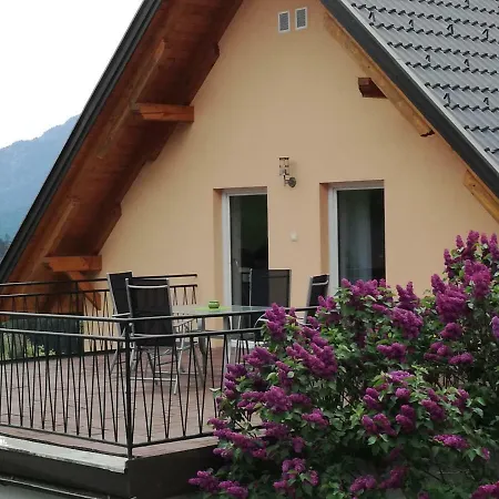 Haus Elvira Apartment Sankt Stefan an der Gail Exterior photo